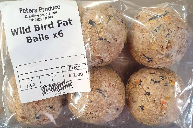 Wild Bird Fat Balls