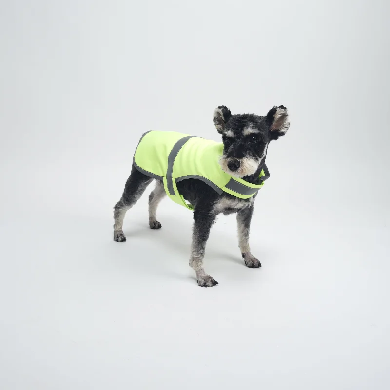 ASK for Price Reflective Dog Vest. Hi-Visibility Fluorescent Blaze Dog Vest