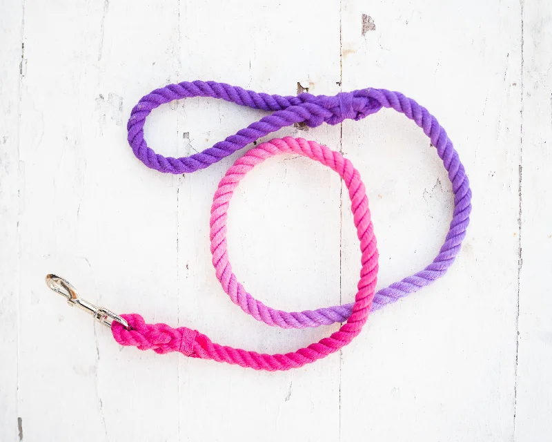 Confetti Leash