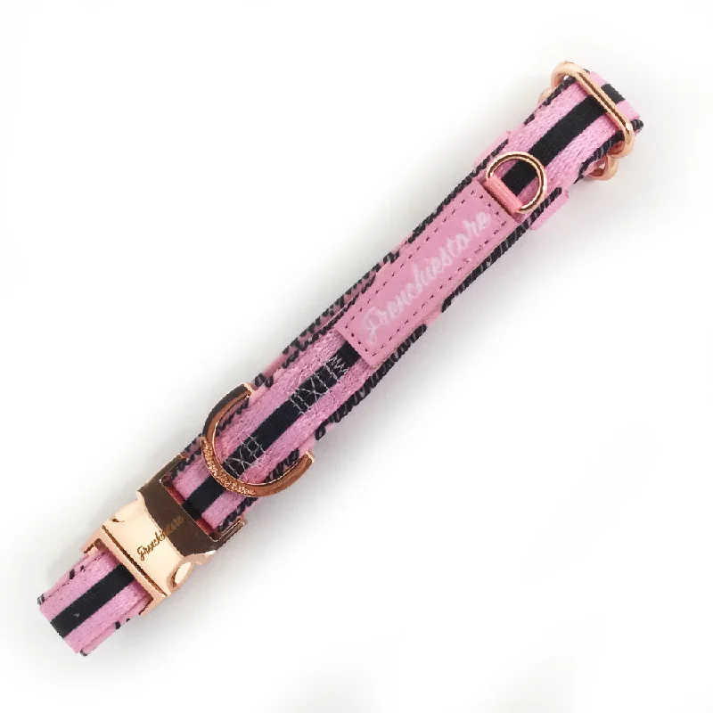 Frenchiestore Breakaway Dog Collar | Pink Varsity