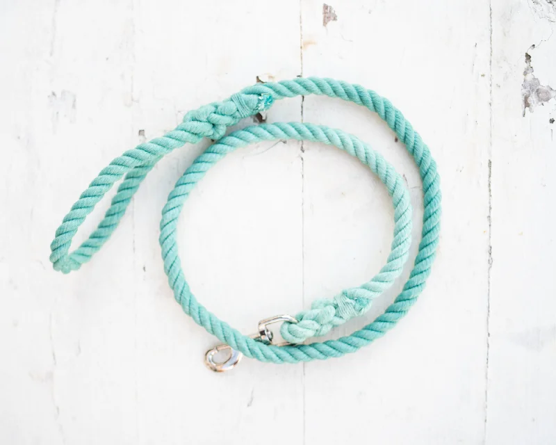 Mint Leash