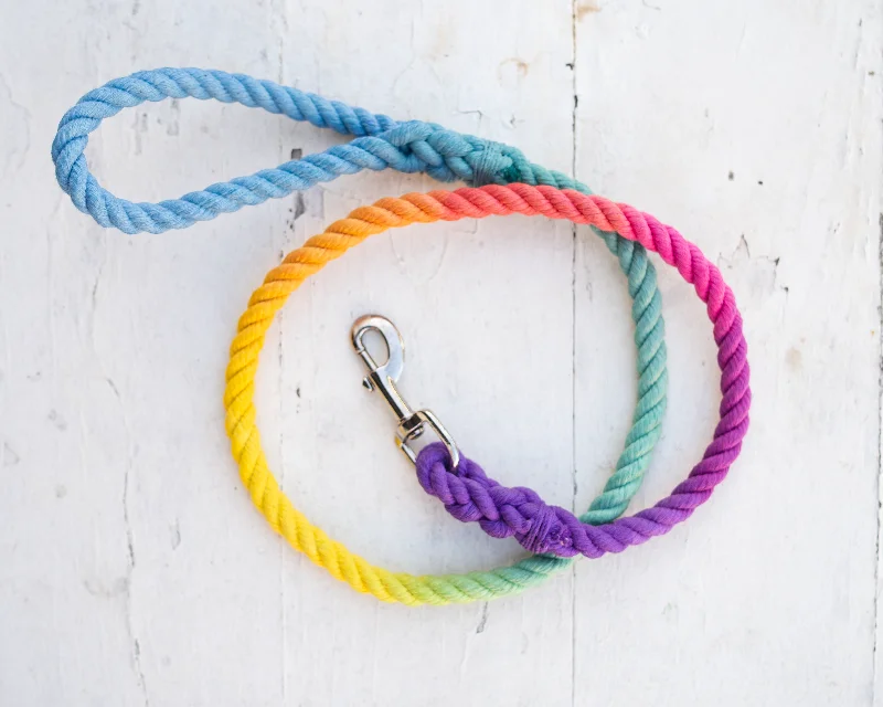 Rainbow Leash