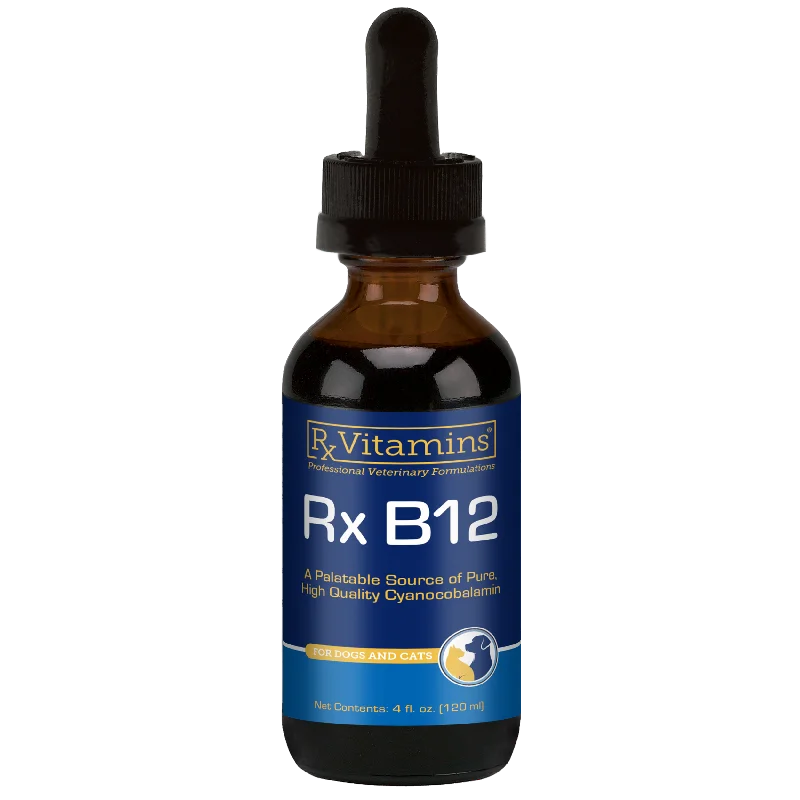 Rx Vitamins Rx B12 Liquid Digestive Supplement For Dogs and Cats (4 oz)