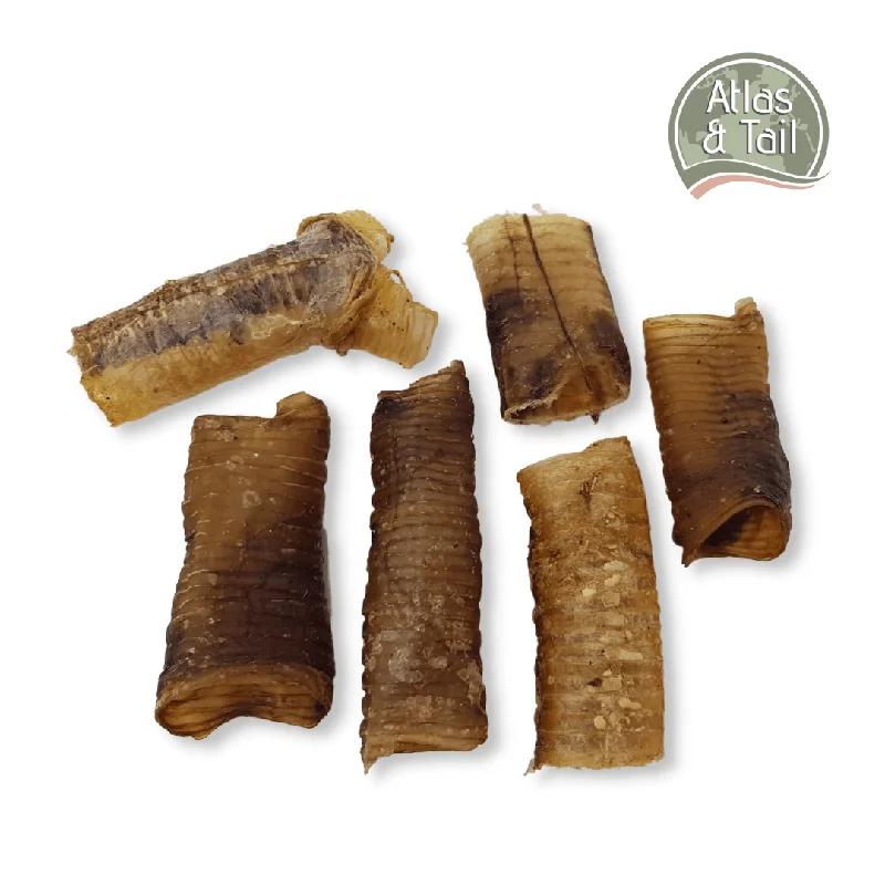 Atlas & Tail Ostrich Tubes Dog Treats