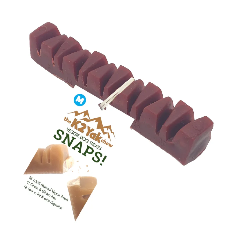 K2 SNAPS! Dog Vegan Training Treats Wood Smoked BBQ 2 Sizes